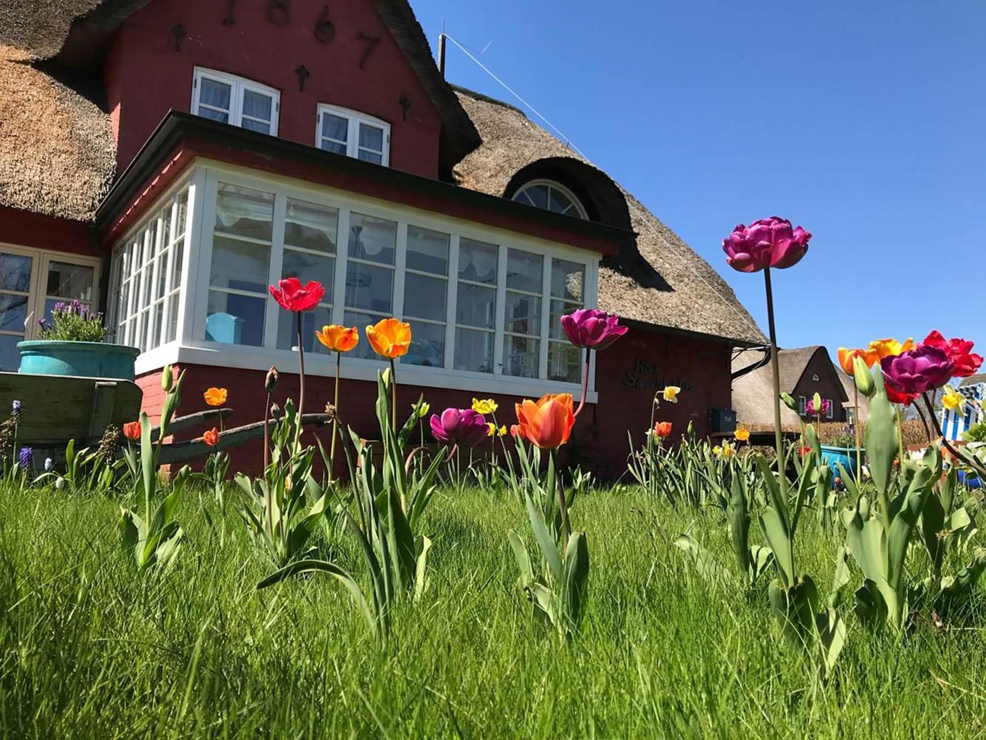 Hues Sanskiin Ferienwohnung *Goodshenk* Suddorf Экстерьер фото
